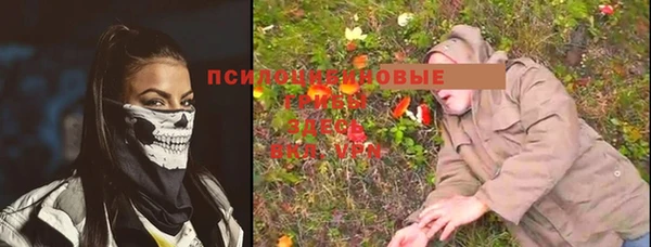 первитин Алексеевка