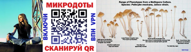 Галлюциногенные грибы GOLDEN TEACHER  Железногорск-Илимский 